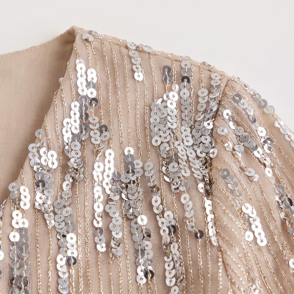 Women's Long Sleeve Sequin V-Neck Blouse